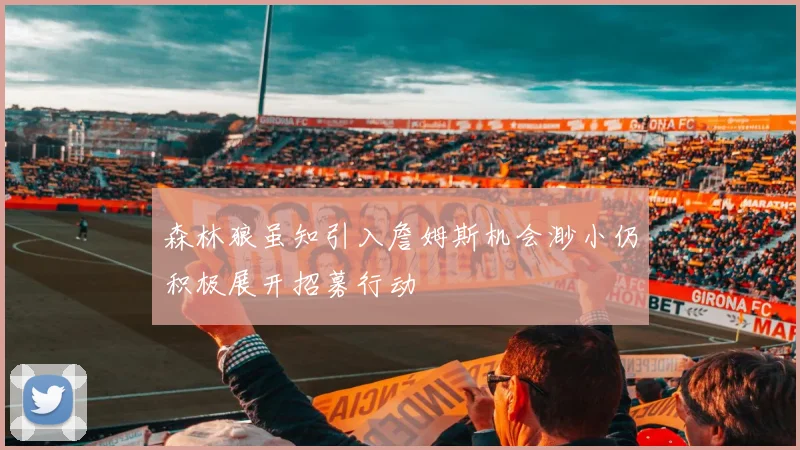 森林狼虽知引入詹姆斯机会渺小仍积极展开招募行动