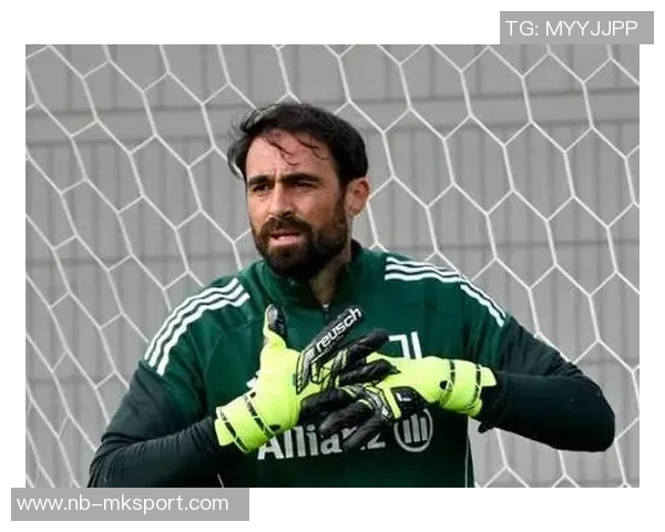 尤文图斯门将平索里奥因左腿腓肠肌受伤将缺席一段时间 尤文图斯门将平索里奥因左腿腓肠肌受伤将缺席一段时间