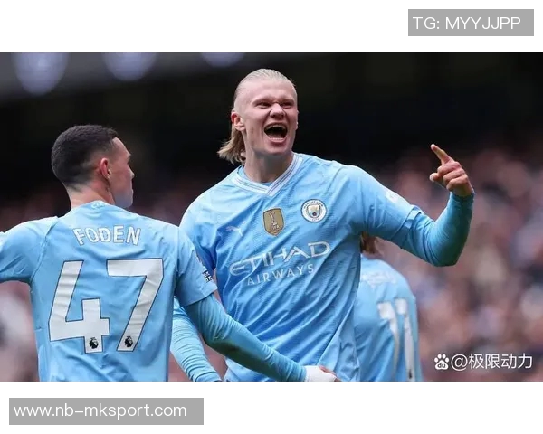 2025年欧洲国家队进球统计哈兰德以15球领跑姆巴佩紧随其后